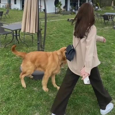 长安三万里